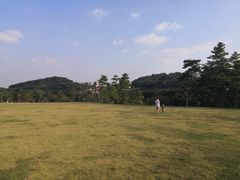-大屏嶂森林公园