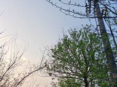 -苏州上方山国家森林公园