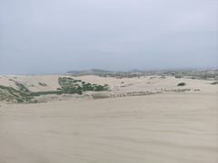 -玉龙沙湖景区