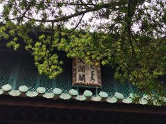 -浙江省博物馆(孤山馆区)