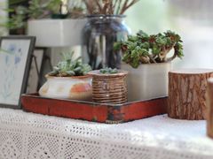 -北马山庄植趣咖啡