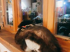 -猫爷的腔调·黔小馆(交大医学住宅区店)