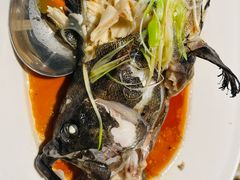 清蒸老虎斑-徐记海鲜(曲江南湖店)