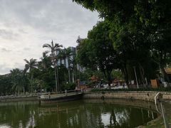 -金砂公园