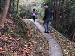 -午潮山国家森林公园