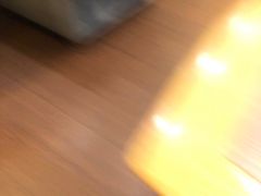 -哈根达斯(石家庄北国店)