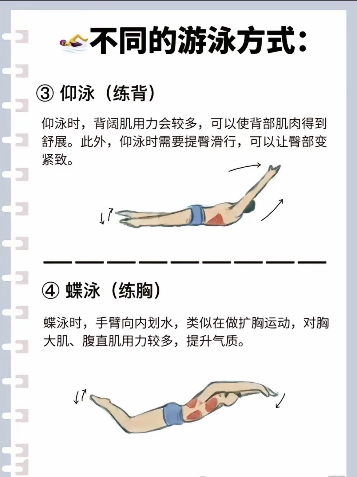 泳姿 锻炼肌肉图片