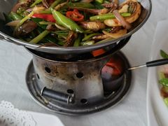 -云中小雅