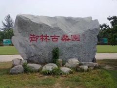 -御林古桑园