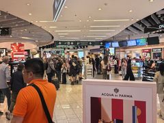 -米兰马尔彭萨国际机场