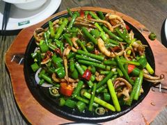 -青叶202都市餐厅(迪诺水镇店)