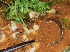 -光海·乡记酸菜鱼·始于1996(花园路店)