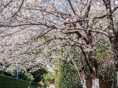 -昆山城市公园