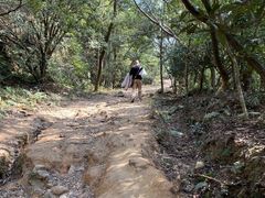 -梧桐山风景名胜区