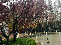 -大连理工大学(凌水校区)