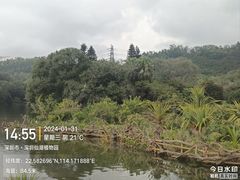 -深圳仙湖植物园