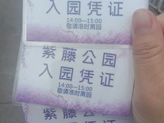 -嘉定紫藤园