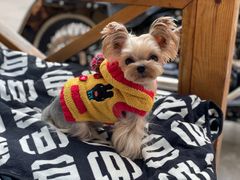 -小龍鳳餐室(番禺路店)