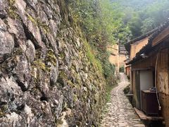 -杨家堂村