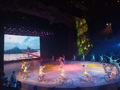 -重庆国际马戏城