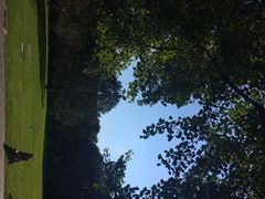 iphone_upload_pic-紫竹院公园冰场