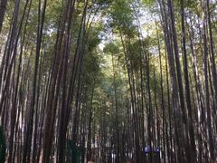 -宝岩生态观光园