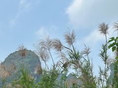 -明仕田园