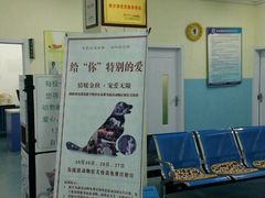-瑞派宠物医院·24小时骨科·心脏·核磁(哈尔滨南岗店)