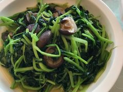 香菇青菜-扬州饭店(东关街店)