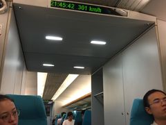 -龙阳路磁悬浮列车总站-停车场