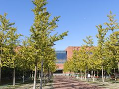 -东北大学(南湖校区)