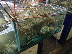 -班赞海鲜市场
