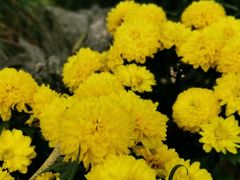 -星巴克(杭州市民中心店)