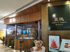 -大树餐厅(益田假日店)