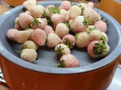 -喜家自助小火锅(卓悦里店)