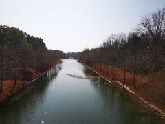 -上海海湾国家森林公园