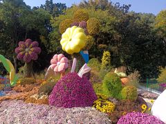 -上海共青森林公园