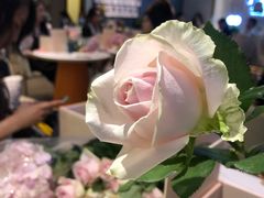 -燕庭·纯燕窝·甜品下午茶(南京西路店)