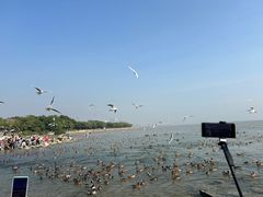 -深圳湾公园(南山区)
