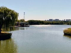 -大兴滨河森林公园