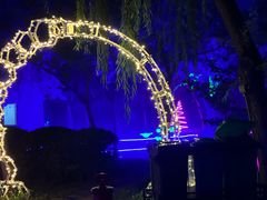 -枫花园汽车电影院(朝阳公园店)