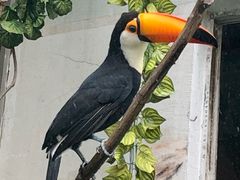 -无锡动物园·太湖欢乐园