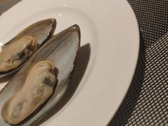 -安蒂娅·海鲜自助餐厅(安蒂娅美兰酒店)