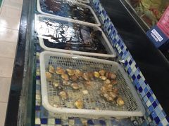 -森谷美食公园(杨行店)