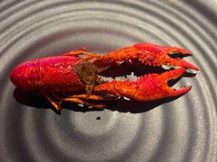 -红盔甲·小龙虾(车公庙店)