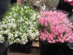 -循礼门鲜花花市(武汉循礼门店)