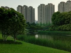 android_upload_pic-新江湾城公园