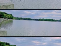 -海珠湖公园