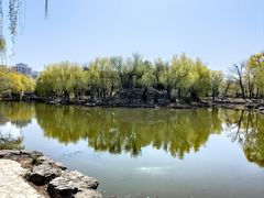 -三忘湖 SWANSEEN(柳荫公园店)