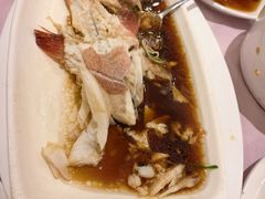 -顺风海鲜港(金玉兰店)